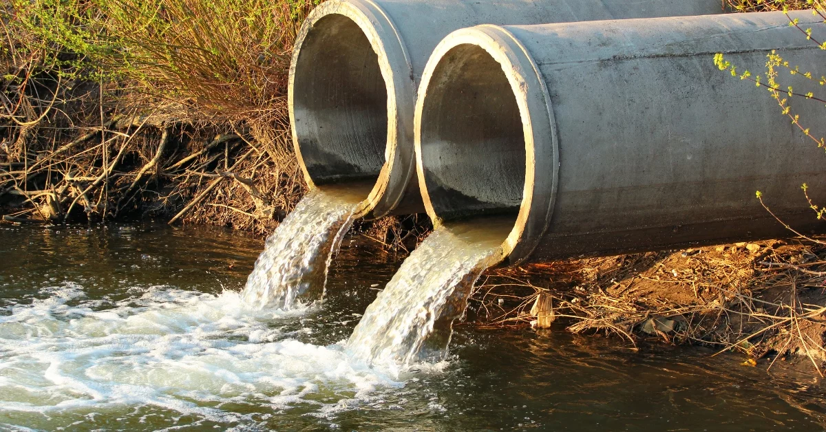 Sewage and Sludge Management