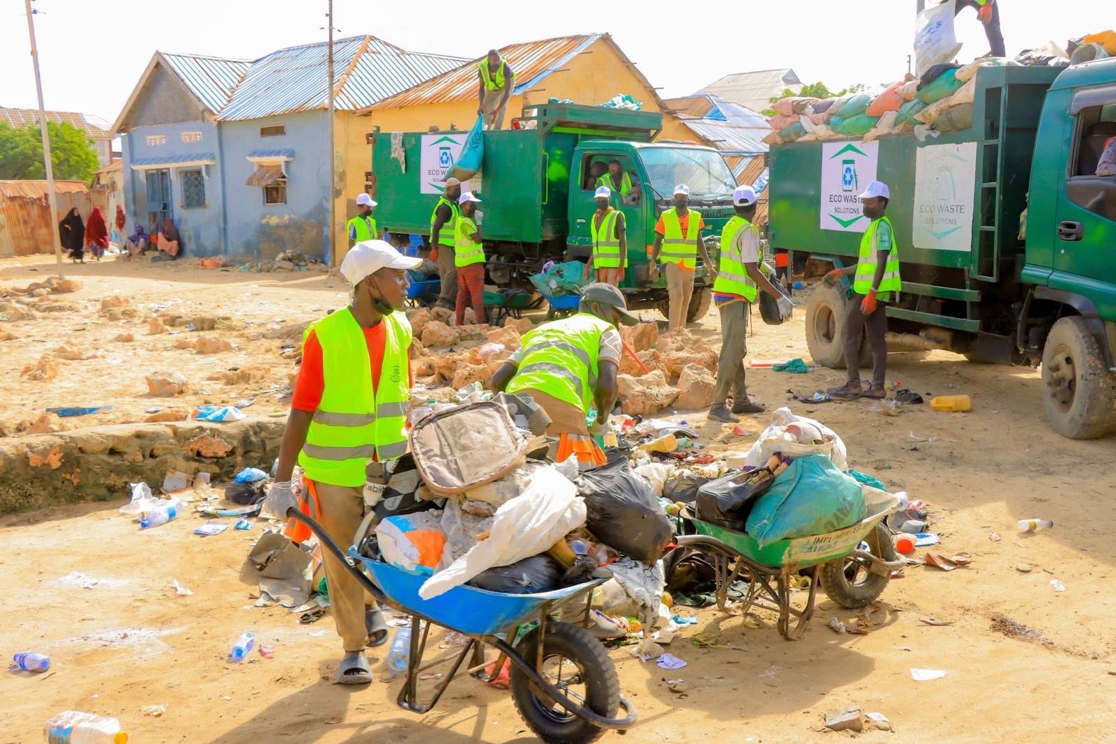Team collecting waste